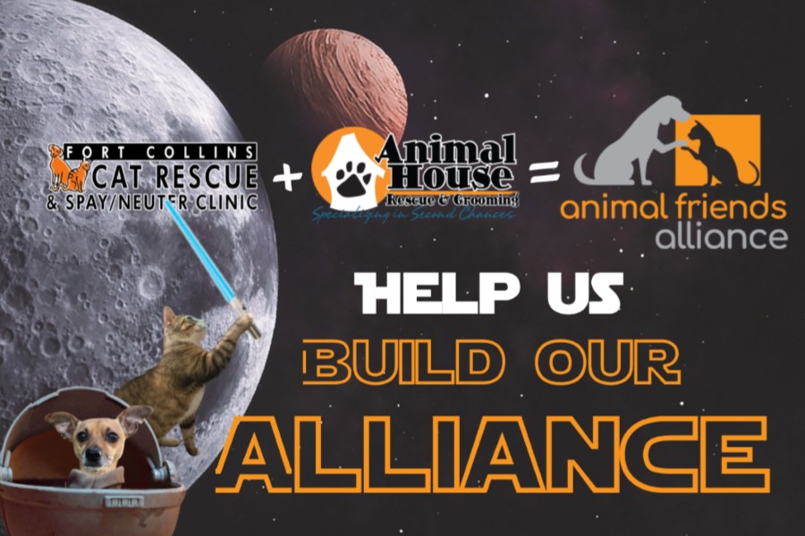 Coming Soon Animal Friends Alliance