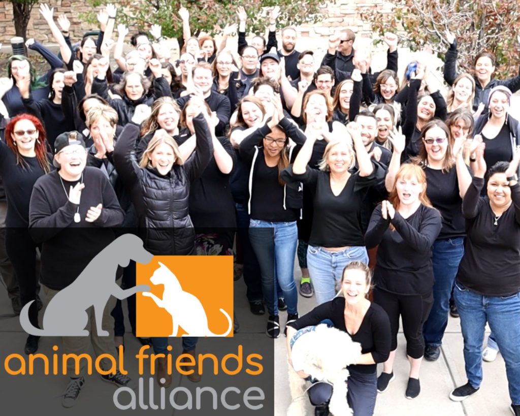 Introducing Animal Friends Alliance Animal Friends Alliance