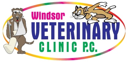 WindsorVet-jpg